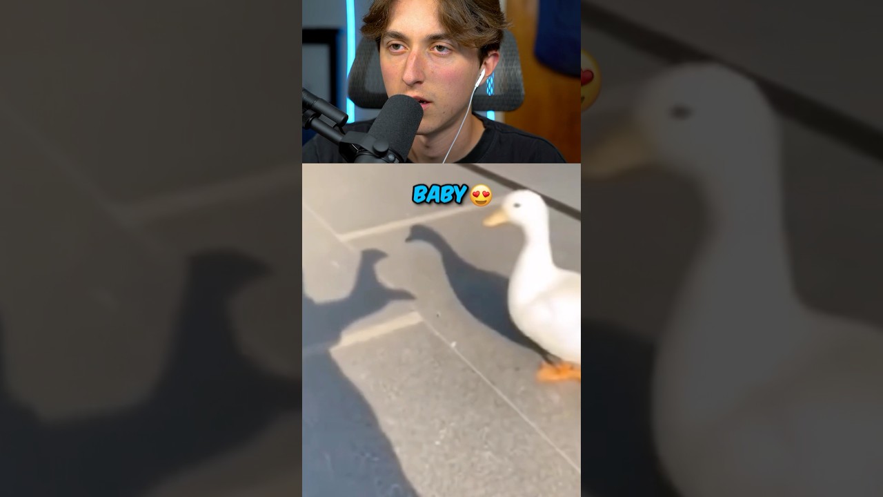The Most Wholesome TikTok EVER! 😂 #shorts