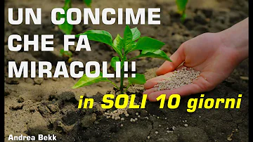 Qual è la funzione dei fertilizzanti?