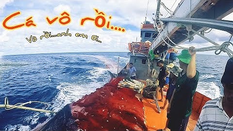 Bao vây bầy cá vô rồi, nhưng còn trong chờ vào sự may mắn | Đánh cá 2024 Tập51| Sóng biển Hứa Đông