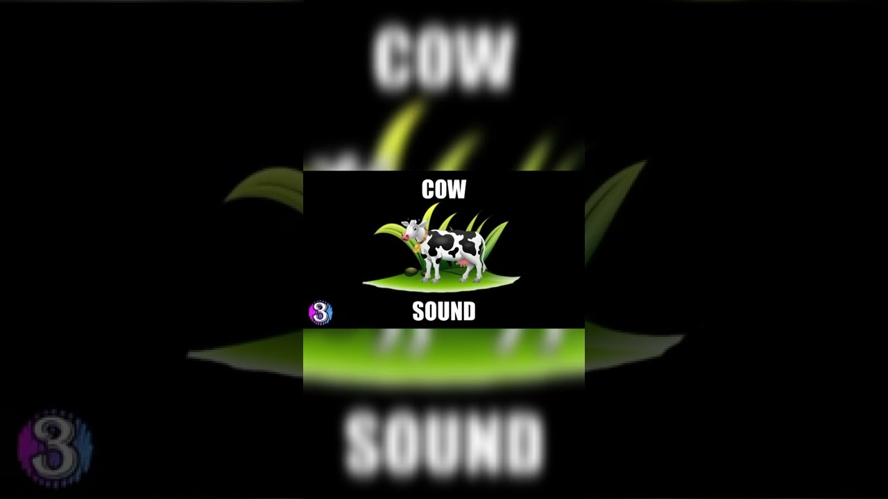 Cow Sound effect  | Cow Sound | Free sound effects for you | 5 Cow Sound Variations in 45 Seconds |