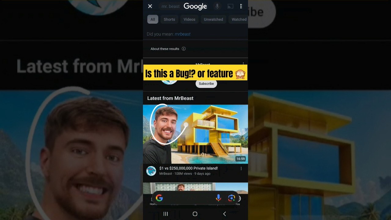 Testing Samsung S24 Ultra Circle to Search: is this a bug? 