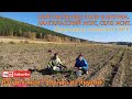 Якутия. Как выращивают и собирают картофель в селе Исит
