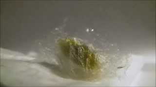 Tent Caterpillar to cocoon time lapse