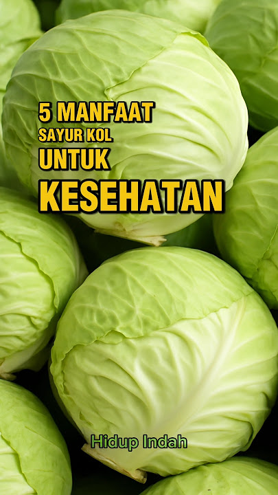 5 Manfaat Sayur Kol Untuk Kesehatan, Yang Jarang Orang Tahu.