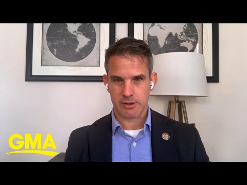 Illinois GOP Rep. Adam Kinzinger launches campaign to reclaim Republican party