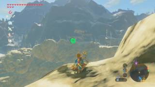 Zelda Breath Of The Wild El Gran Pajaro Blanco Resuelto Nintendo Switch Latino