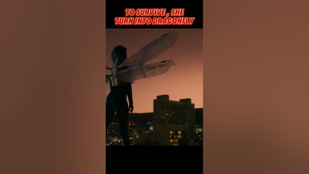 The fix 2024 thrillerfilmrecap viralvideo thrillermovierecap fyp 