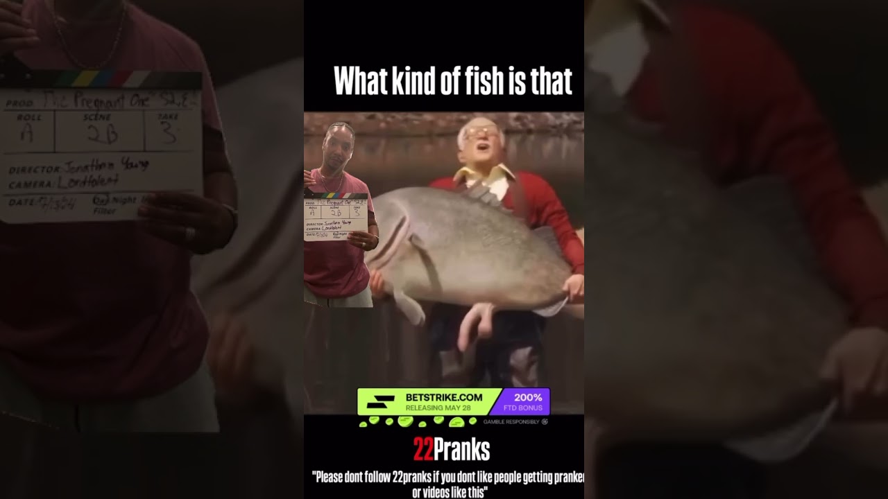 What Kind Of Fish Is That?