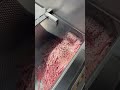 Frozen meat slicer, I am the manufacturer. #foodmachine