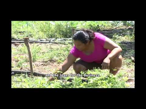 Vídeo: Cuevas De Sibun. Belice - Vista Alternativa