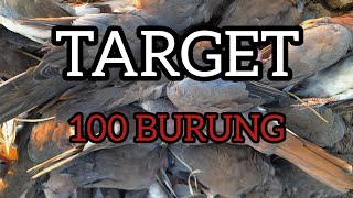 TARGET 100 EKOR puter geni & tekukur