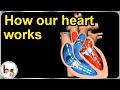 How our heart works – Structure and function (3D animation) - In English