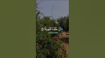 قران كريم#قرآن#اجر_لي_ولك #اكسبلور #لايك #ترند #الرحمن #المصحف #راحة_نفسية