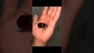 SACOMPOSTING.ORG #Nature #Garden #Compost #Worms #Composting #Vermicompost  #SustainableFarming
