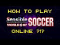 How to play SWOS online?!