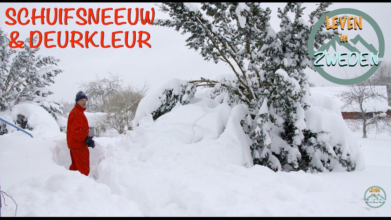 SCHUIFSNEEUW & DEURKLEUR