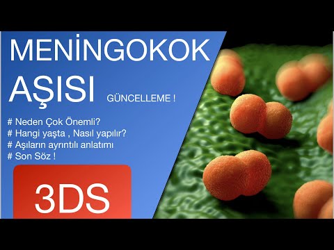 Meningokok Aşısı Nedir? (Menenjit Aşısı, Özel Aşılar)