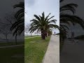 مادامج تحبيني اسطنبول تركيا مادامج تحبيني اسطنبول تركيا