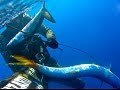 Spearfishing Surgical Shots - Ψαροντουφεκο Χειρουργικες Βολες