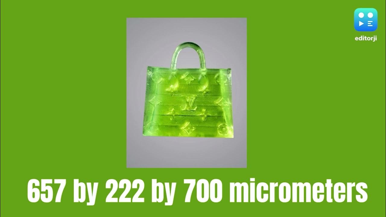 Bizarre fashion! Would you buy this MSCHF microscopic bag