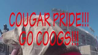 COUGAR PRIDE HAS GONE TO THE DOGS!!