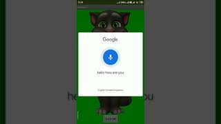 Talking Tom Project