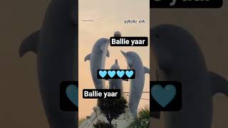 @kuldeepkaur013 @MandeepKaur-h7e @Ballie-Yaar-FDK