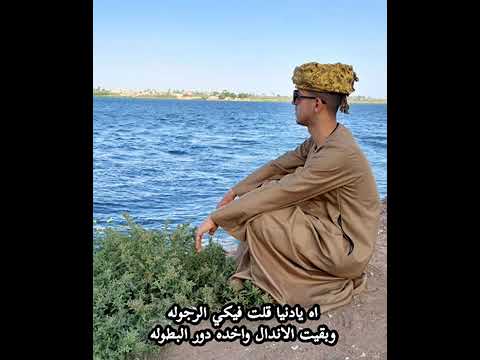 رائد عادل الاسيوطي 1 رائد عادل الاسيوطي 1