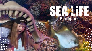 Sealife Blackpool July 2025