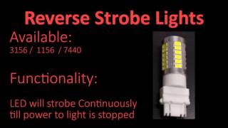 SMD 3156 reverse strobe lights