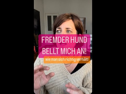 Video: Wie kann ich meiner Tochter helfen, mit ihrer Angst vor Hunden umzugehen?