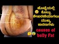 Causes For Belly Fat | Reasons For Lower Fat | Reasons for Abdominal fat