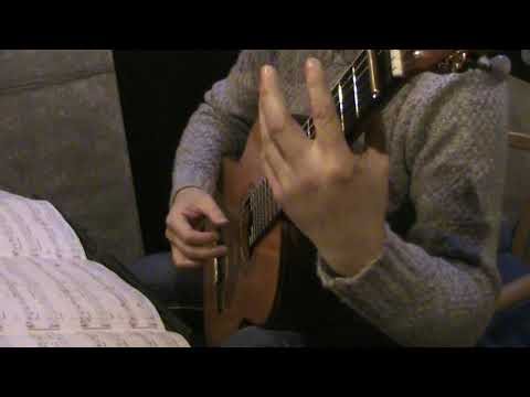 ひだまりの詩 (Guitar Cover) ルクプル Le Couple クラシックギター 独奏 ソロギター 4