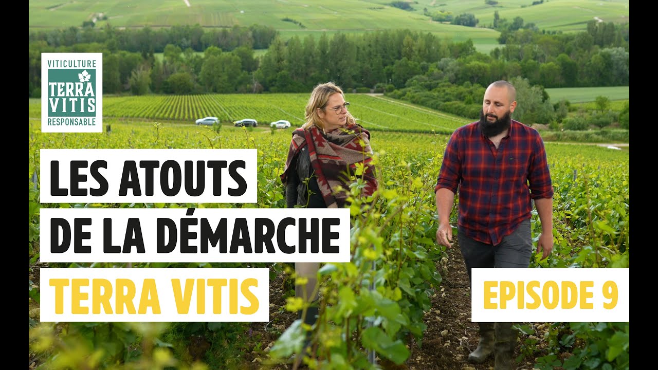 Champagne : Terra Vitis au Domaine Fumey Tassin ; Un vin responsable c'est quoi ?