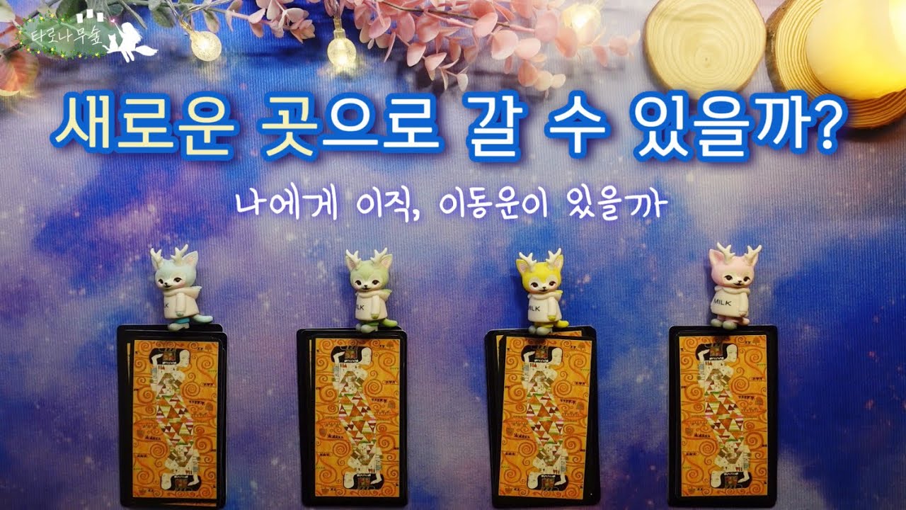 [타로] 새로운 곳으로 갈 수 있을까? 이직운, 이동운