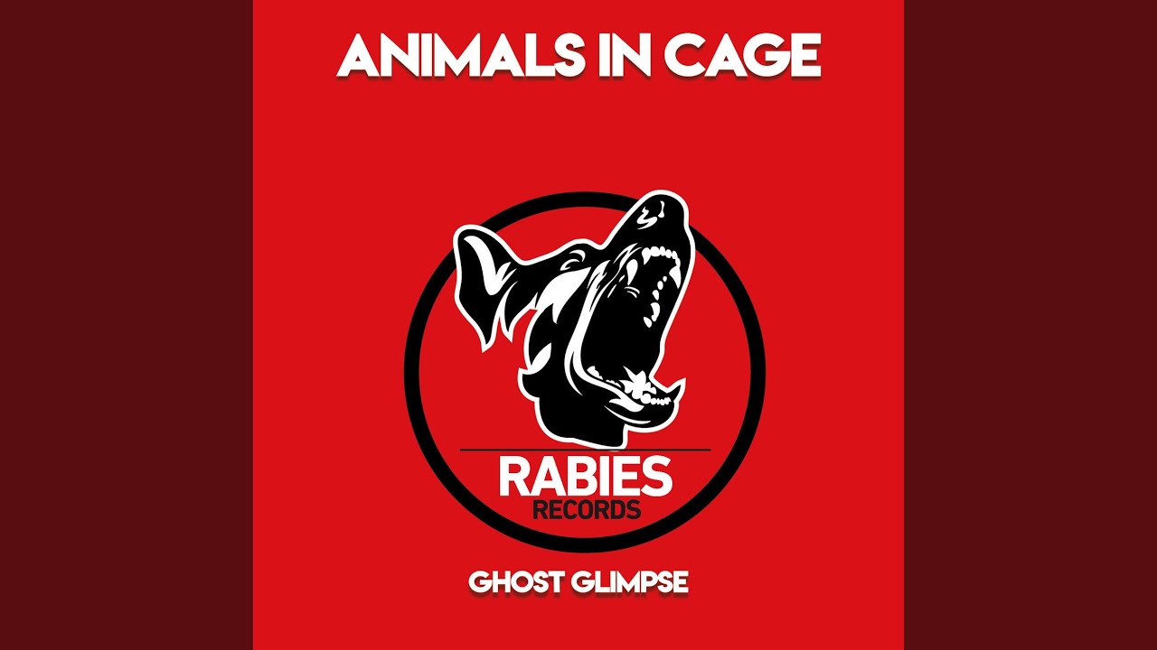 Ghost Glimpse (Chris Drifter & Mb Project Remix)