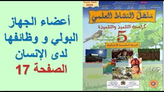 منهل النشاط العلمي أعضاء الجهاز البولي و وظائفها لدى الإنسان