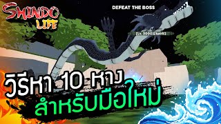 🔥Roblox🌊 Shindo Life ลง War ยังไงให้ได้ 10 หาง? วิธีหา 10 หางสำหรับมือใหม่