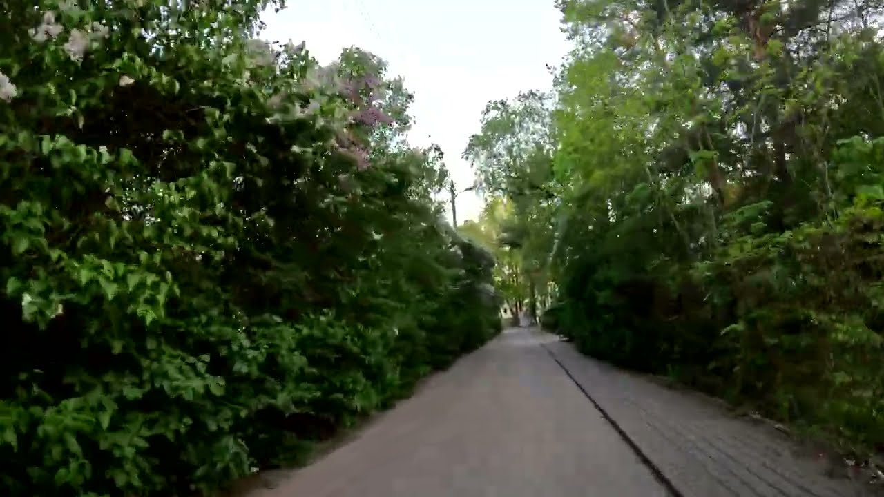 Улицы Варшавы в мае. Зеленые районы.Велопробег