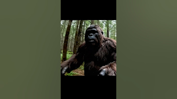 #bigfoot #bigfootvlogs #vlogs #vlog #bigfootvlog #3dprinting