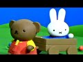 O Presente De Boris Pra Miffy! | Miffy | Filmes De Animação Para Crianças