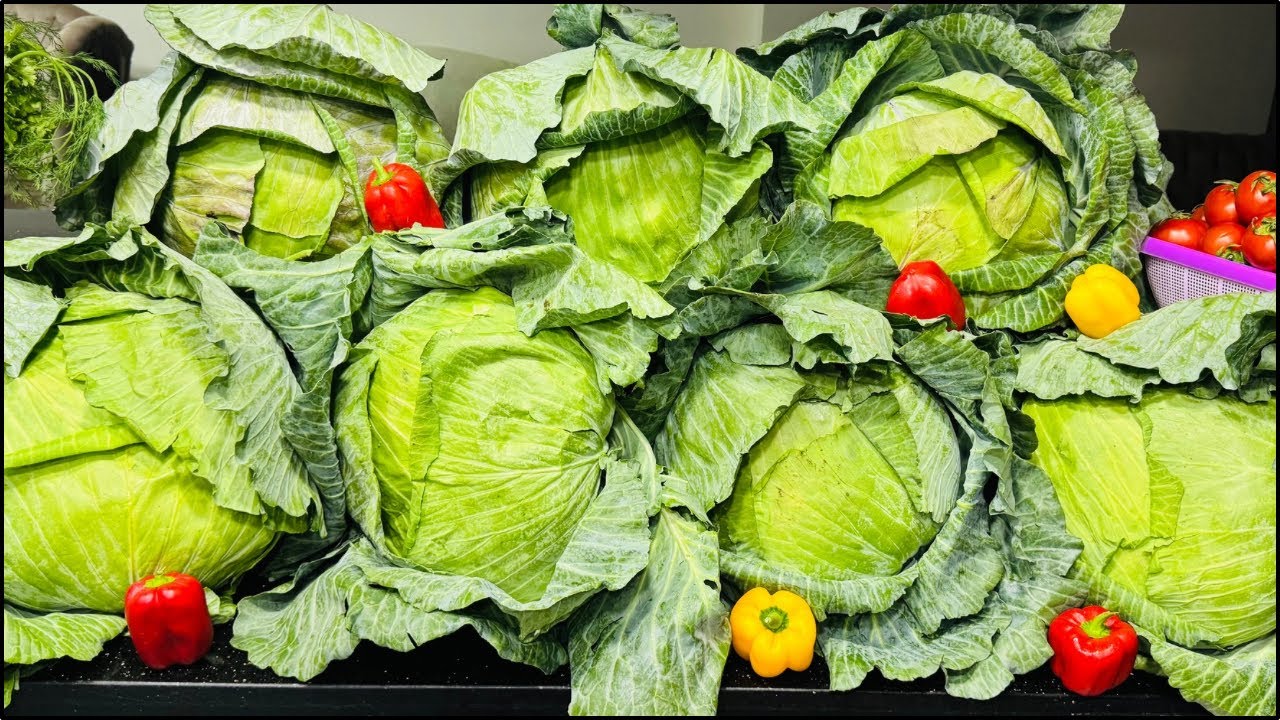 تفريزات شهر رمضان 2025 أفضل طريقة لتفريز الكرنب عمره ما هيجلد معاكي ولا يتهري وها تقطعيهه في ثواني