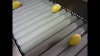 Inspection Rolling Conveyor