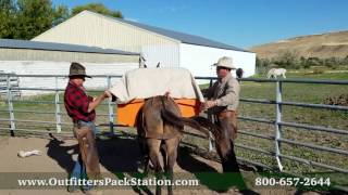 Walker Hitch - Outfitters Pack Station