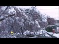 「雪ノ花」カラオケオリジナル歌手・大川栄策