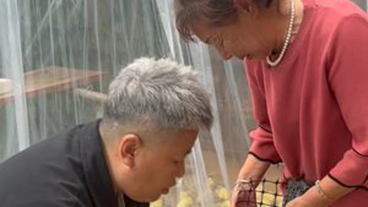 又整了400个鸡蛋，给小鸡整个公主房，坐等吃鸡蛋吧 #热点 #记录真实生活 #农村生活 #生活