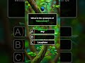 Synonyms quiz - Quiz part 88