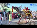 Camel by Camel Dance Song Video | शादी के अंदर ऊंट का धमाकेदार डांस | New Dance Video 2022
