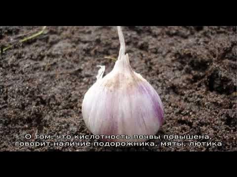 Выбор оптимального состава удобрений