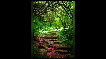 القارئ: #هزاع_البلوشي